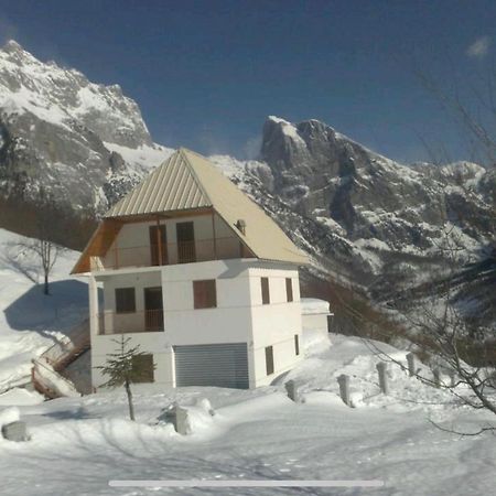 Alpbes Theth Guesthouse Shkodra Kültér fotó